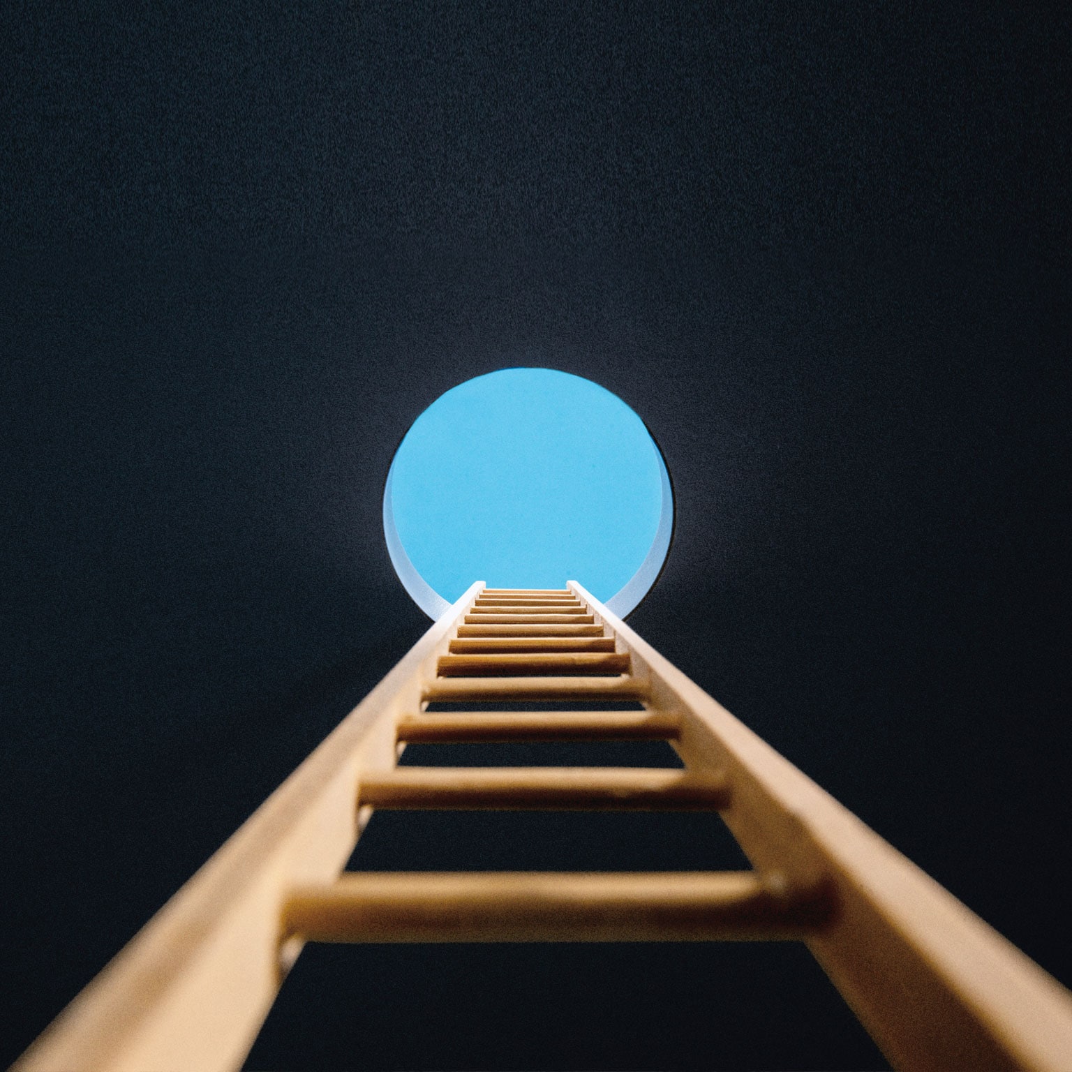 The CEO Role Managing For The Short And Long term McKinsey